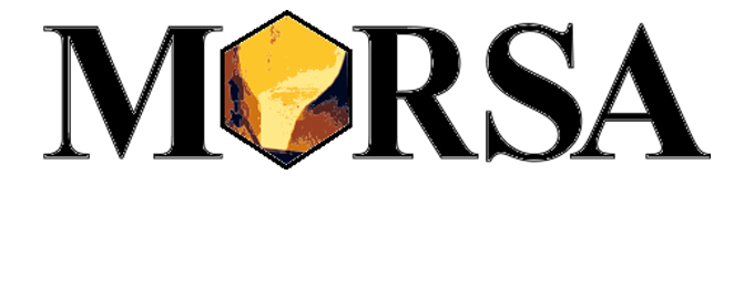 Morsa Casting Waxes Logo